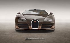 rembrandt-bugatti-veyron-grand-sport-vitesse-photos-modelpublisher-com-16