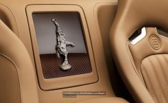 rembrandt-bugatti-veyron-grand-sport-vitesse-photos-modelpublisher-com-3